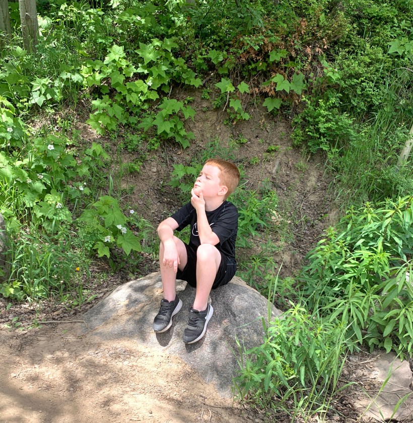 0E7E6540-BFDE-4417-B803-087386855474