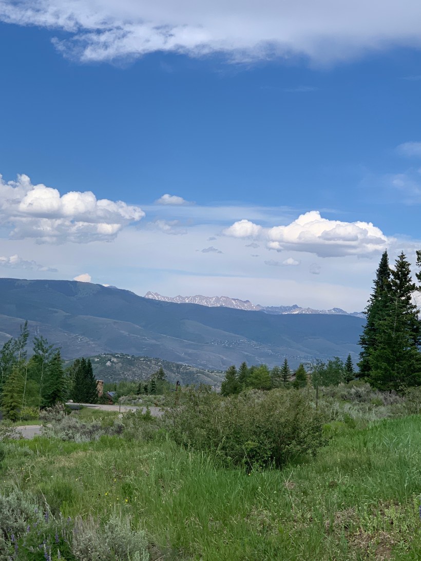 3D2DC3B1-520C-409C-9832-AA4C6831FA03