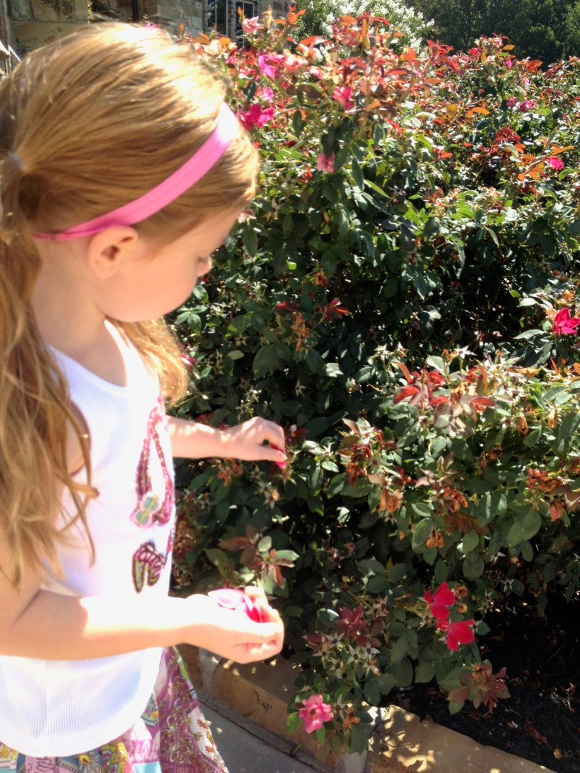 81BC929D-8BF1-4457-9BA6-D762A0AE5709